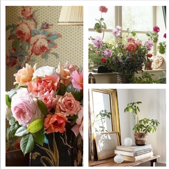 Bundle & Save - Picture 7 of 16